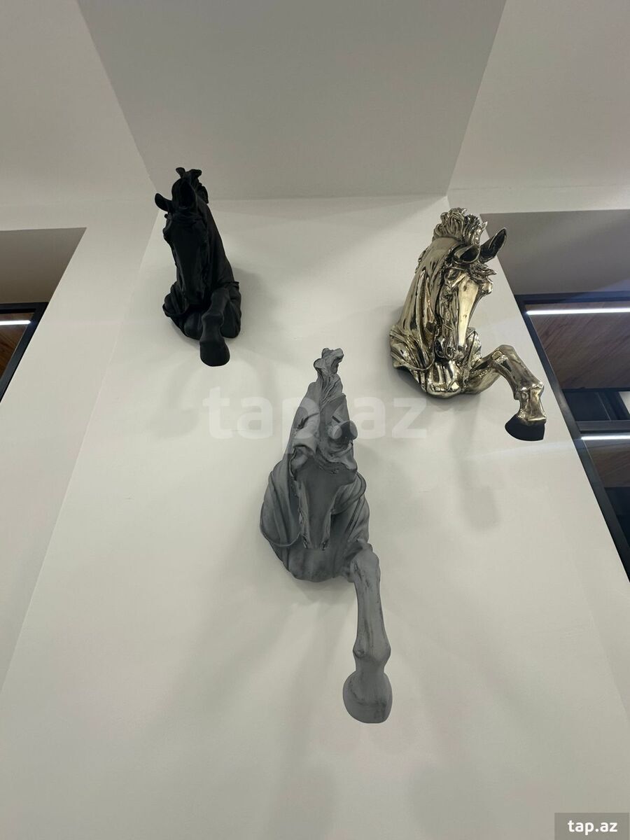 Obyekt icarəyə verilir, Ramiz Quliyev küç. (16)