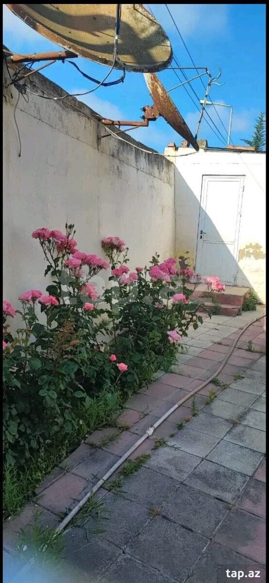 Bağ evi, Bilgəh qəs. (2)