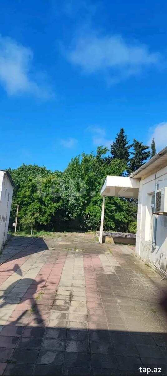 Bağ evi, Bilgəh qəs.