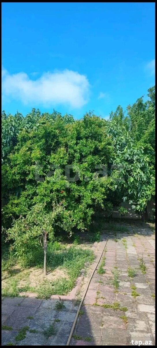 Bağ evi, Bilgəh qəs. (4)