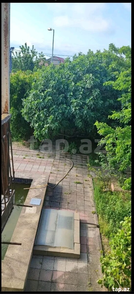 Bağ evi, Bilgəh qəs. (24)