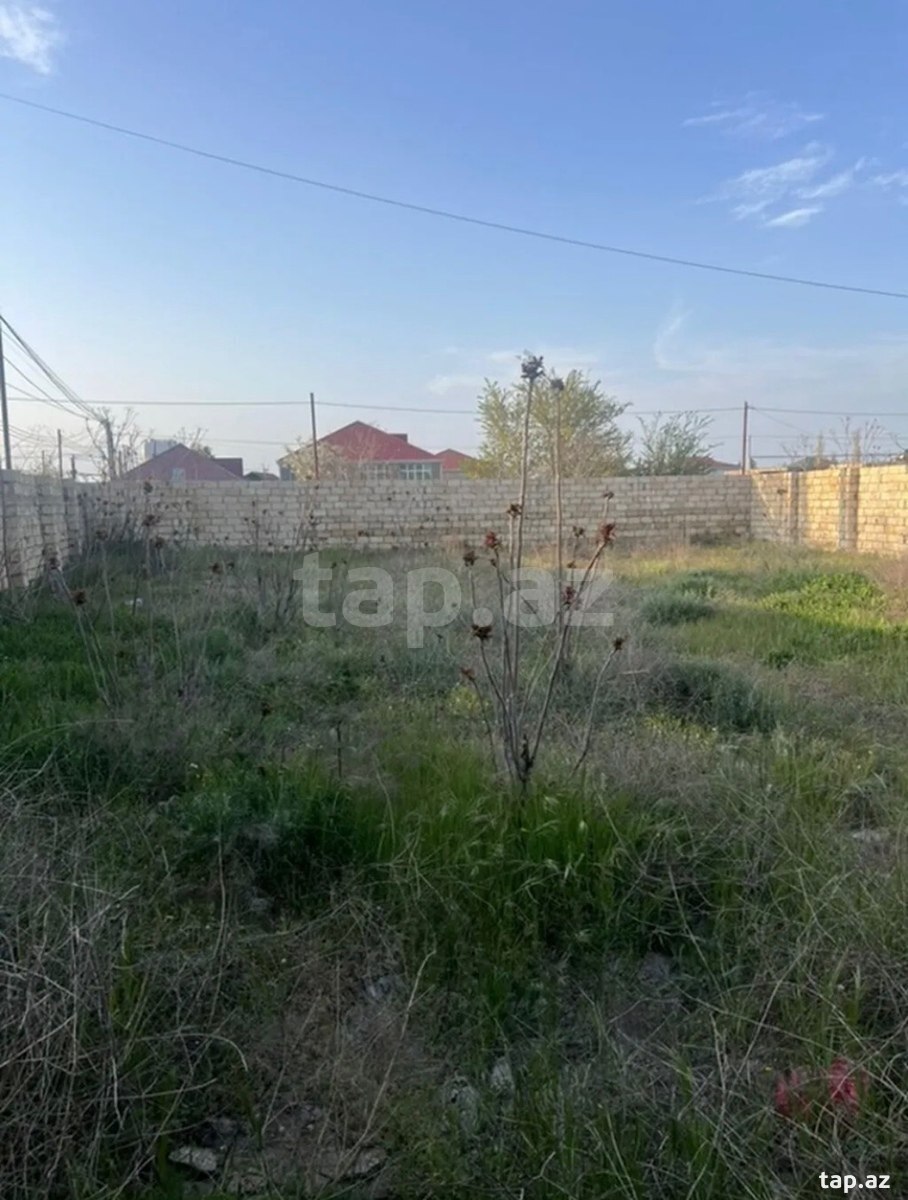 5 sot torpaq sahəsi, Ləhic bağları (5)