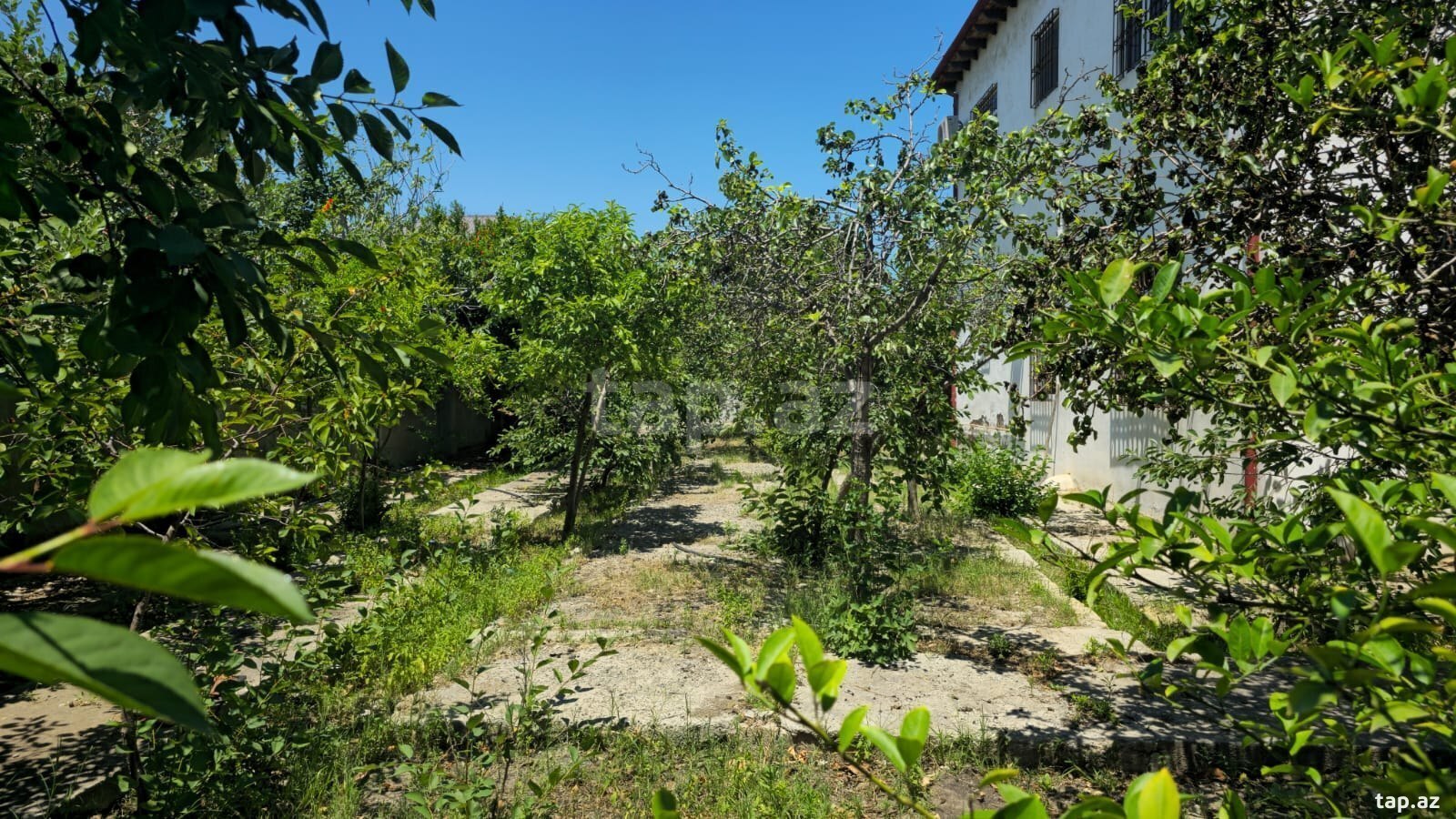 Həyət evi, Ceyranbatan qəs. (2)