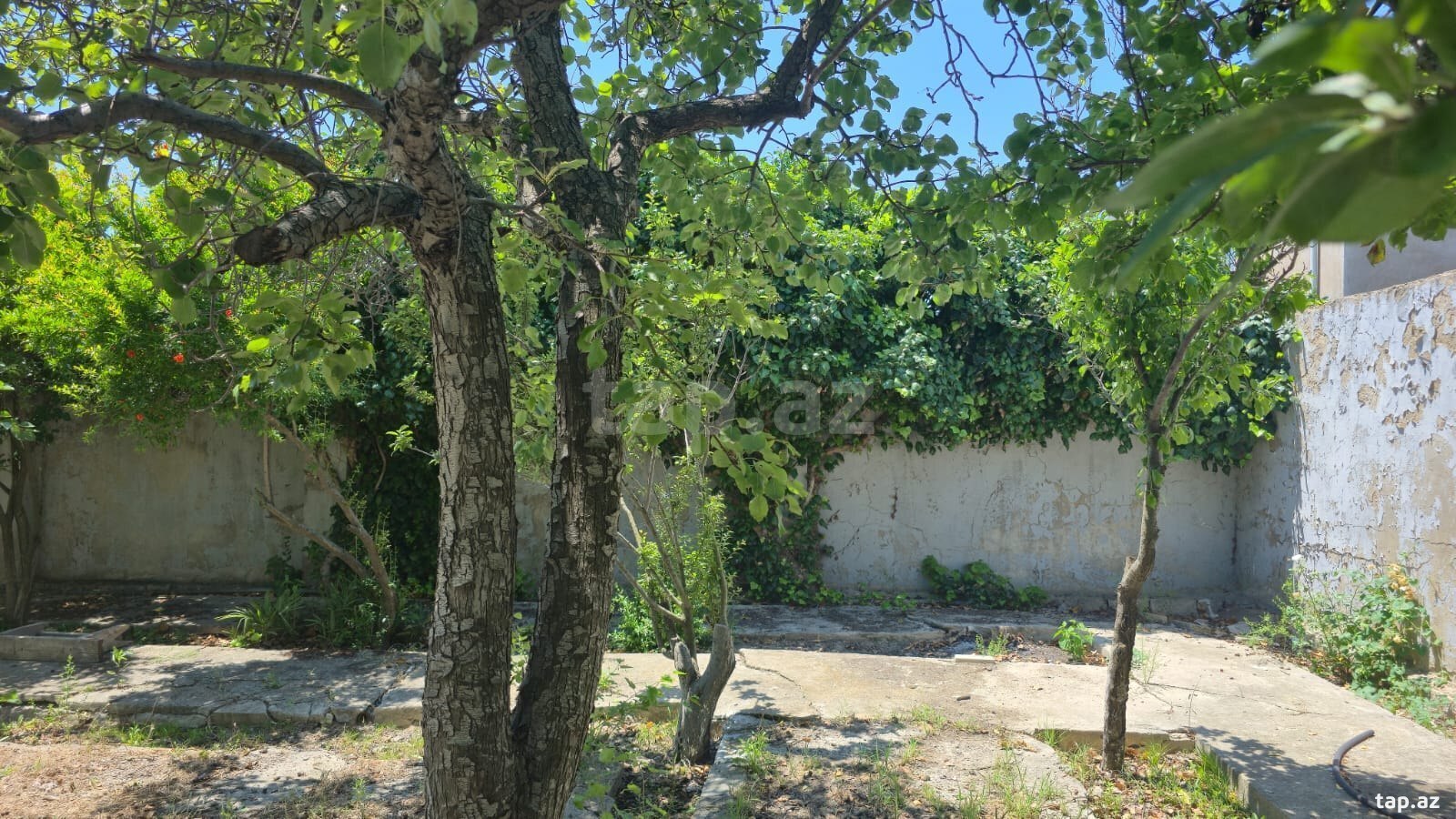 Həyət evi, Ceyranbatan qəs. (6)