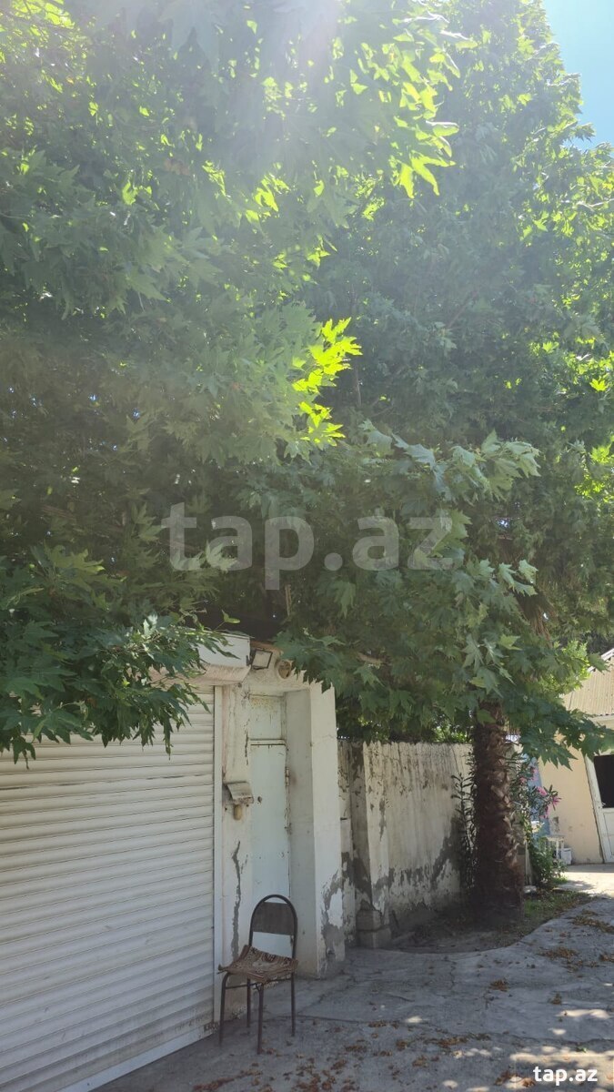 Həyət evi, Ceyranbatan qəs. (9)