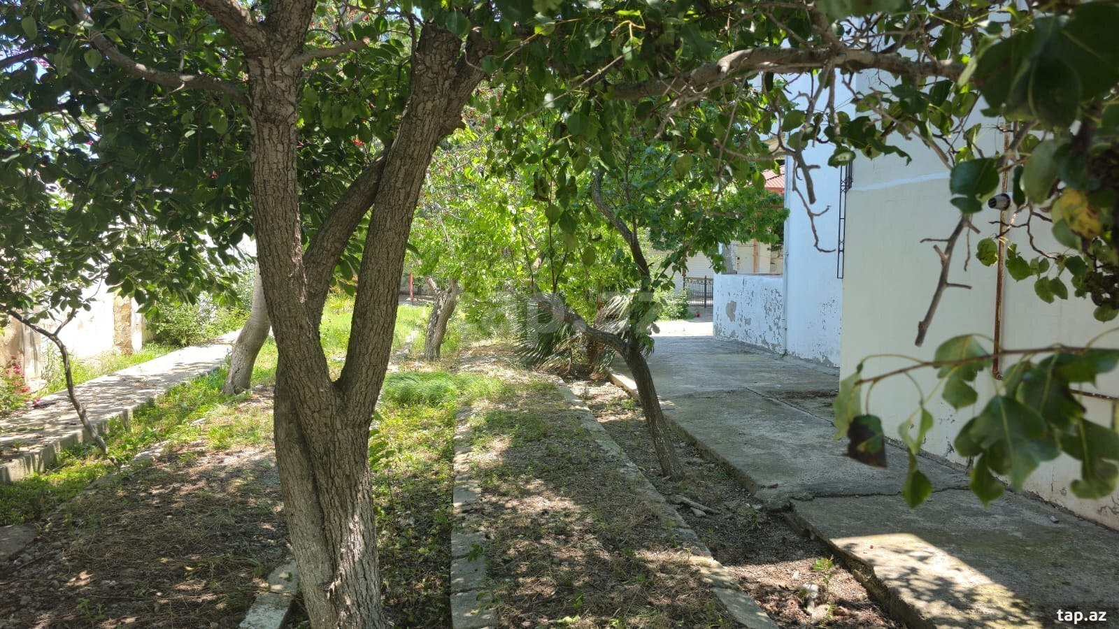 Həyət evi, Ceyranbatan qəs. (12)