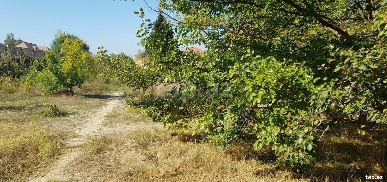 Həyət evi, Novxanı qəs. (5)