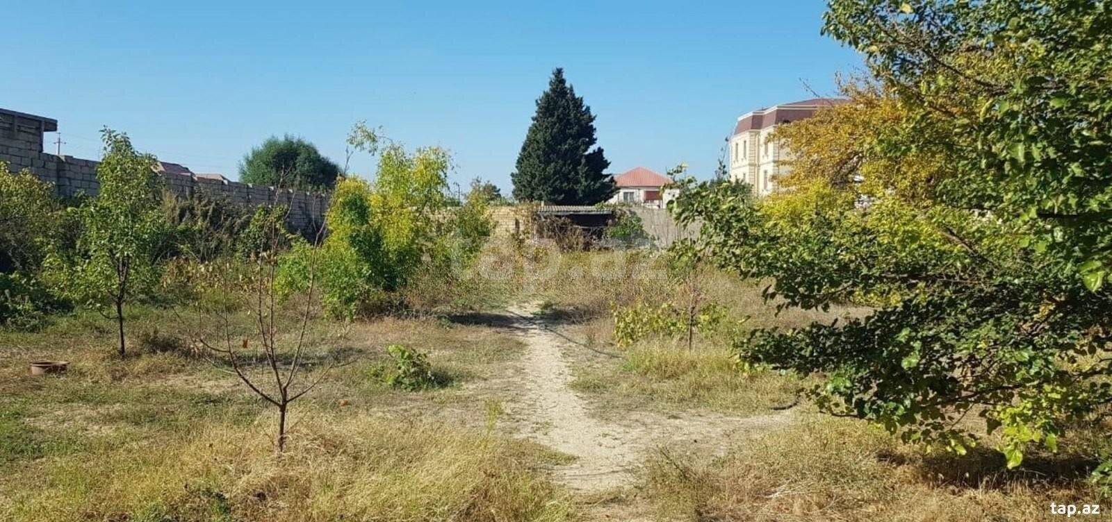 Həyət evi, Novxanı qəs. (10)