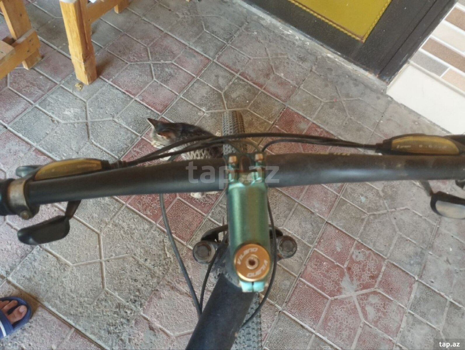 Velosiped Vilano 29 (2)