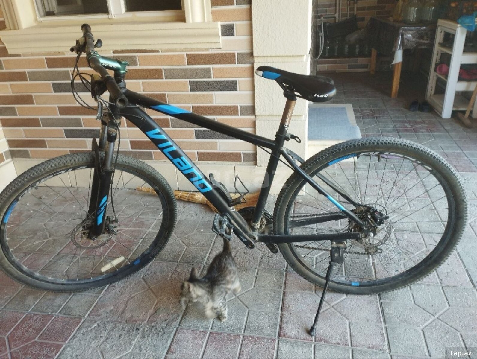 Velosiped Vilano 29 (3)