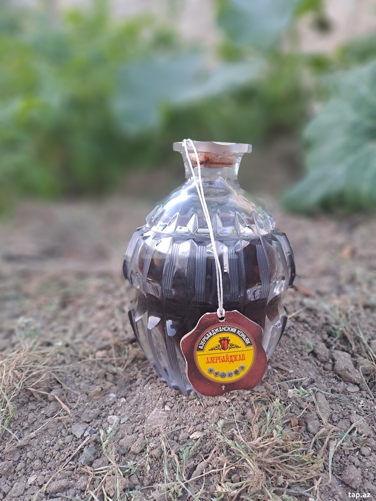 Konyak