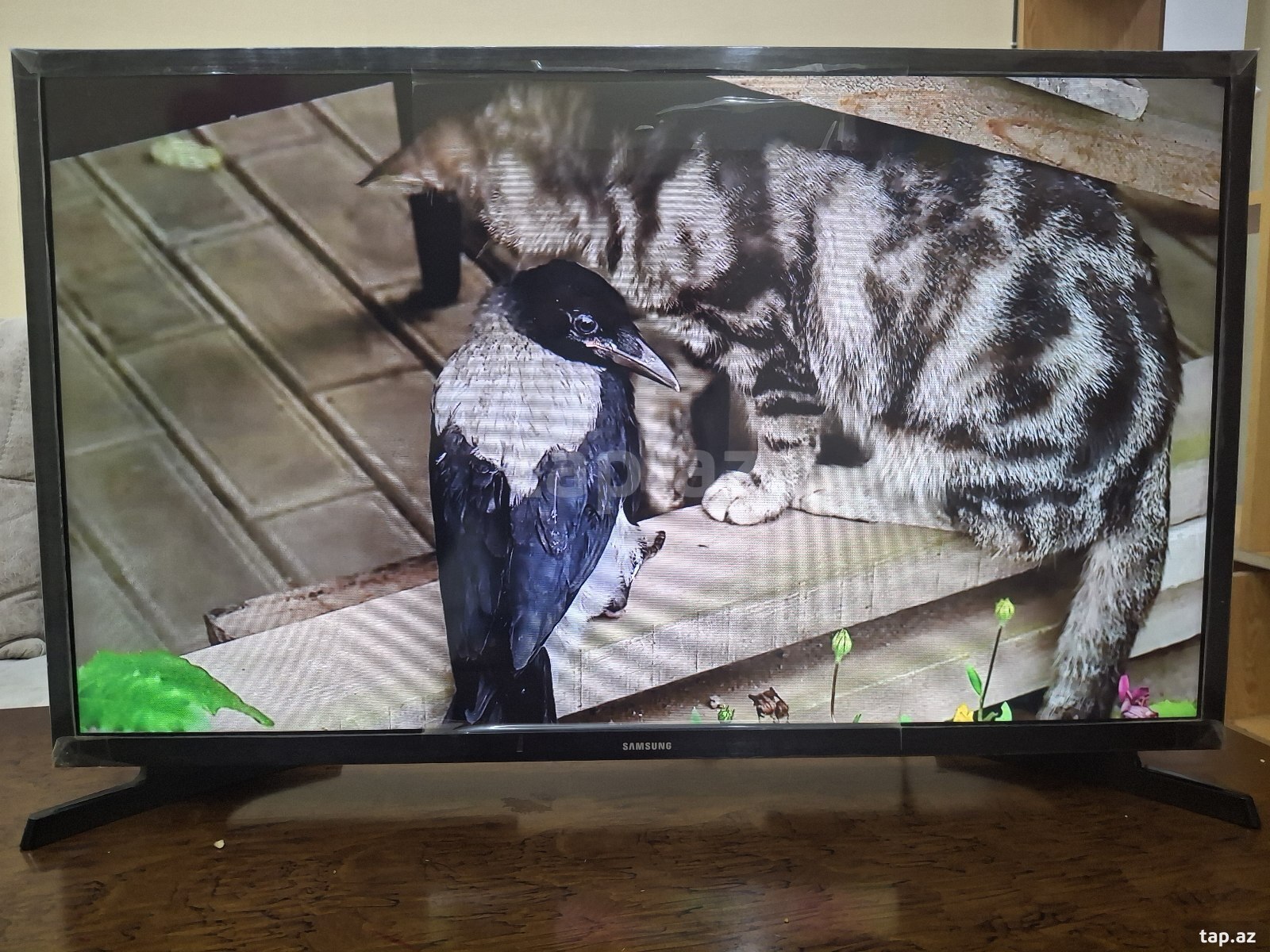 Samsung televizoru (3)