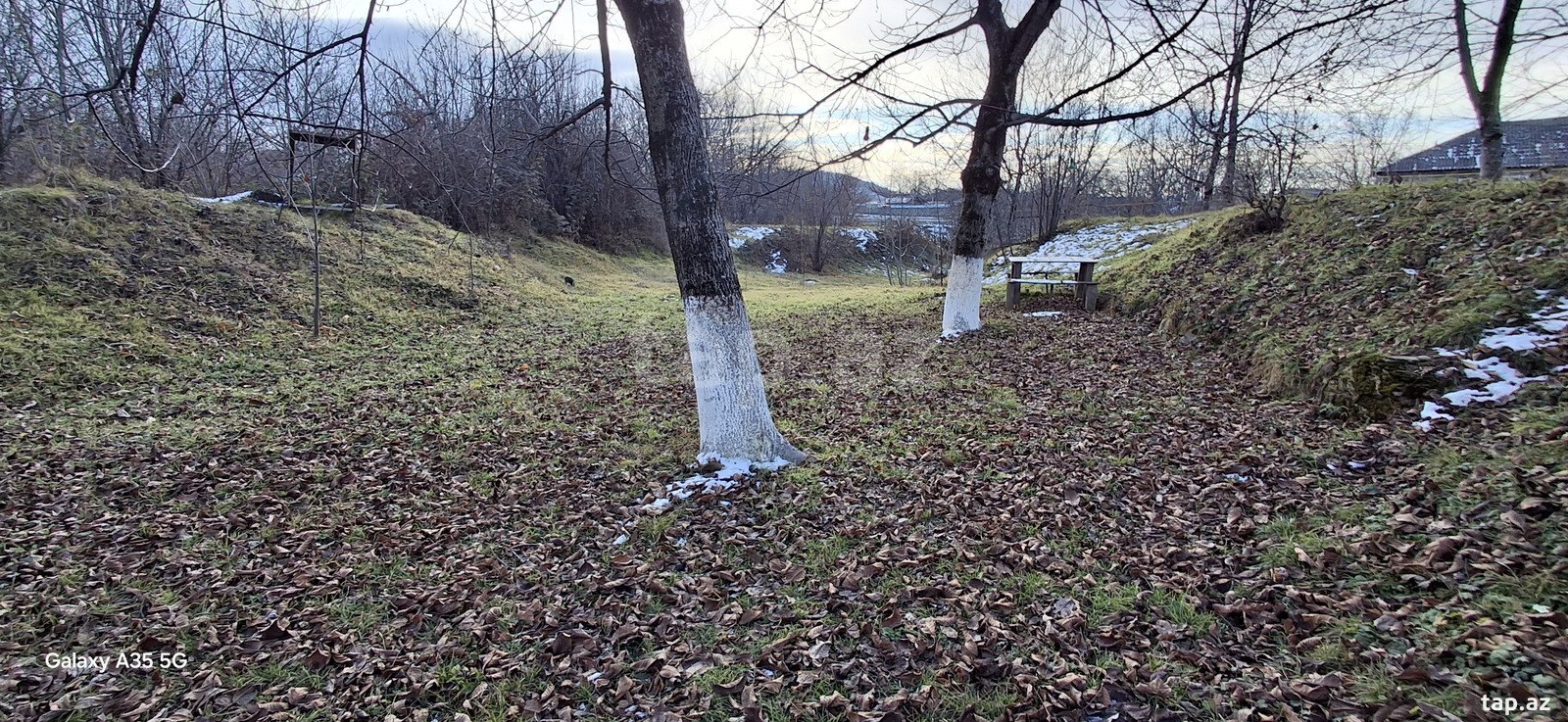 14 sot torpaq sahəsi, Qəbələ r. (3)