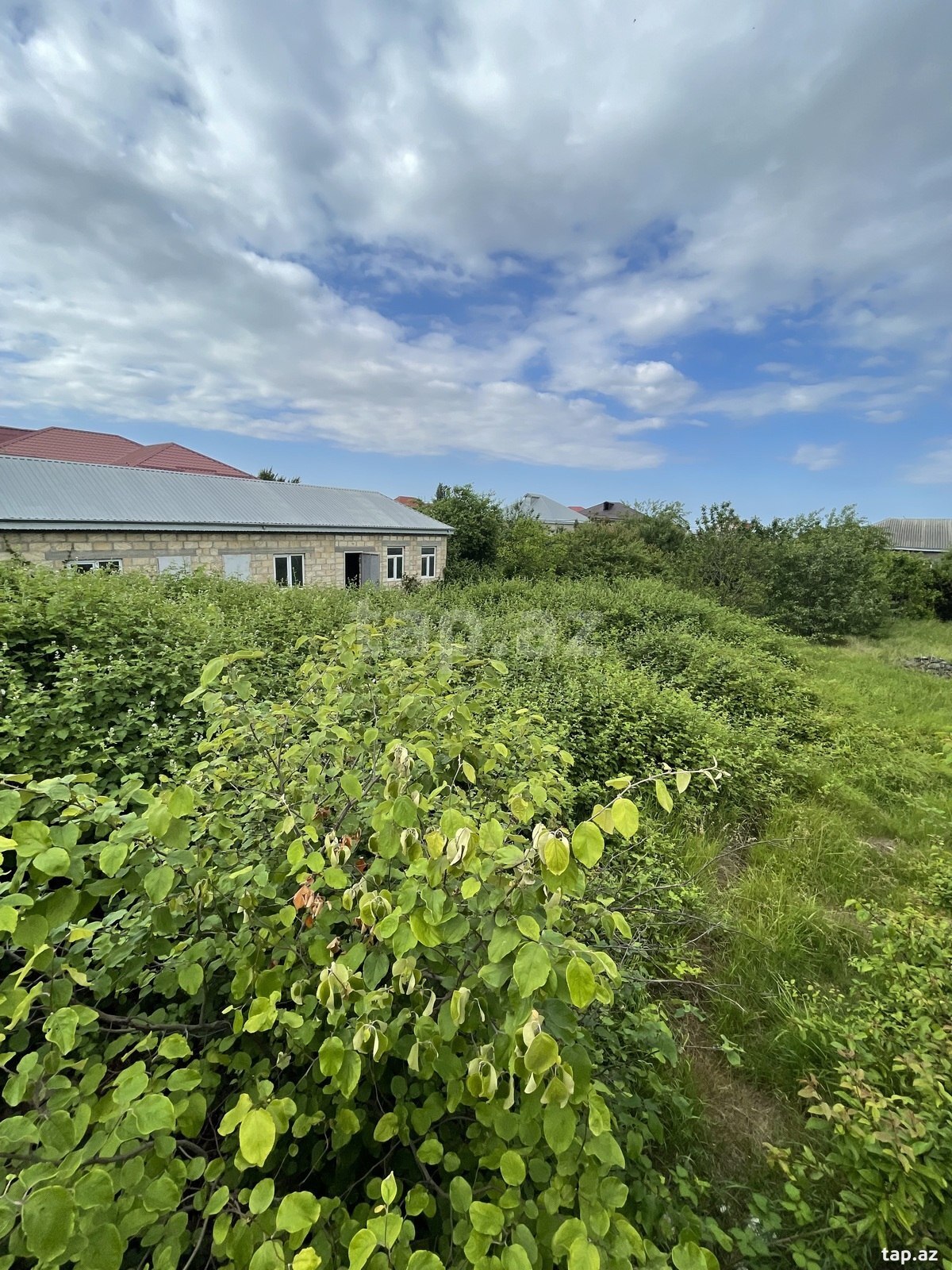 2 sot torpaq sahəsi, Qusar r. (2)