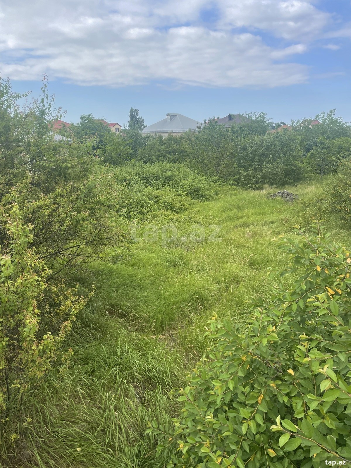 2 sot torpaq sahəsi, Qusar r. (3)