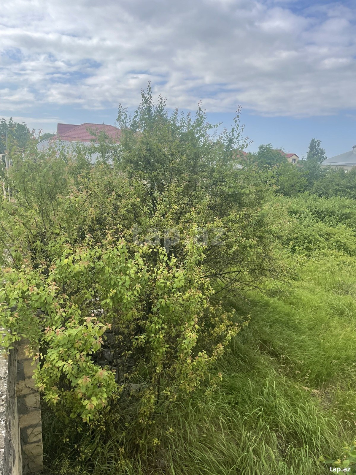 2 sot torpaq sahəsi, Qusar r. (4)