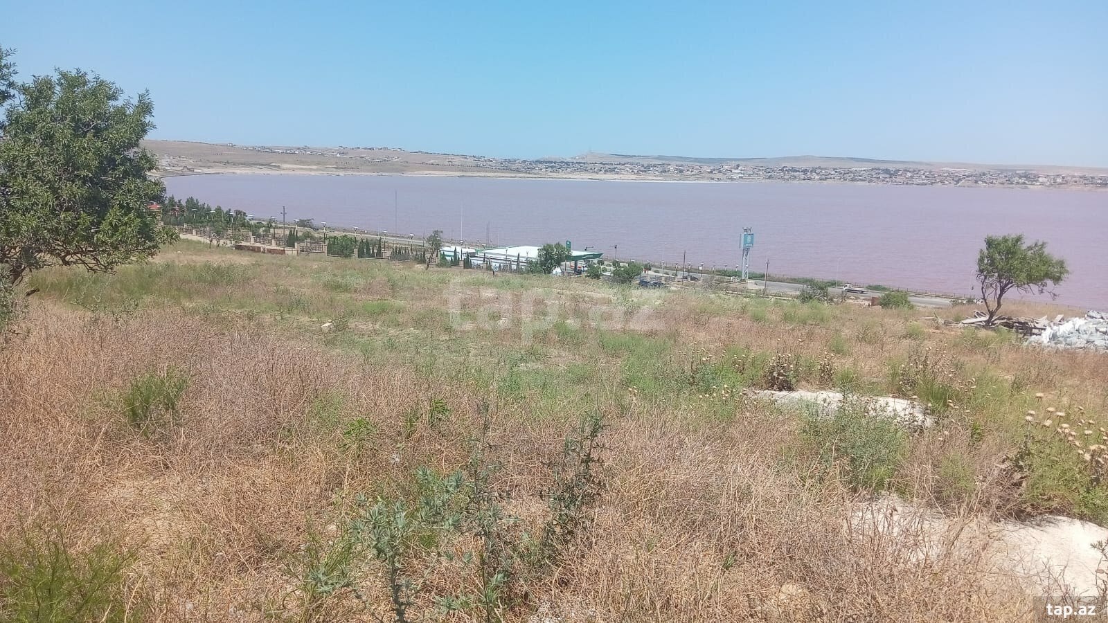 20 sot torpaq sahəsi, Saray qəs.