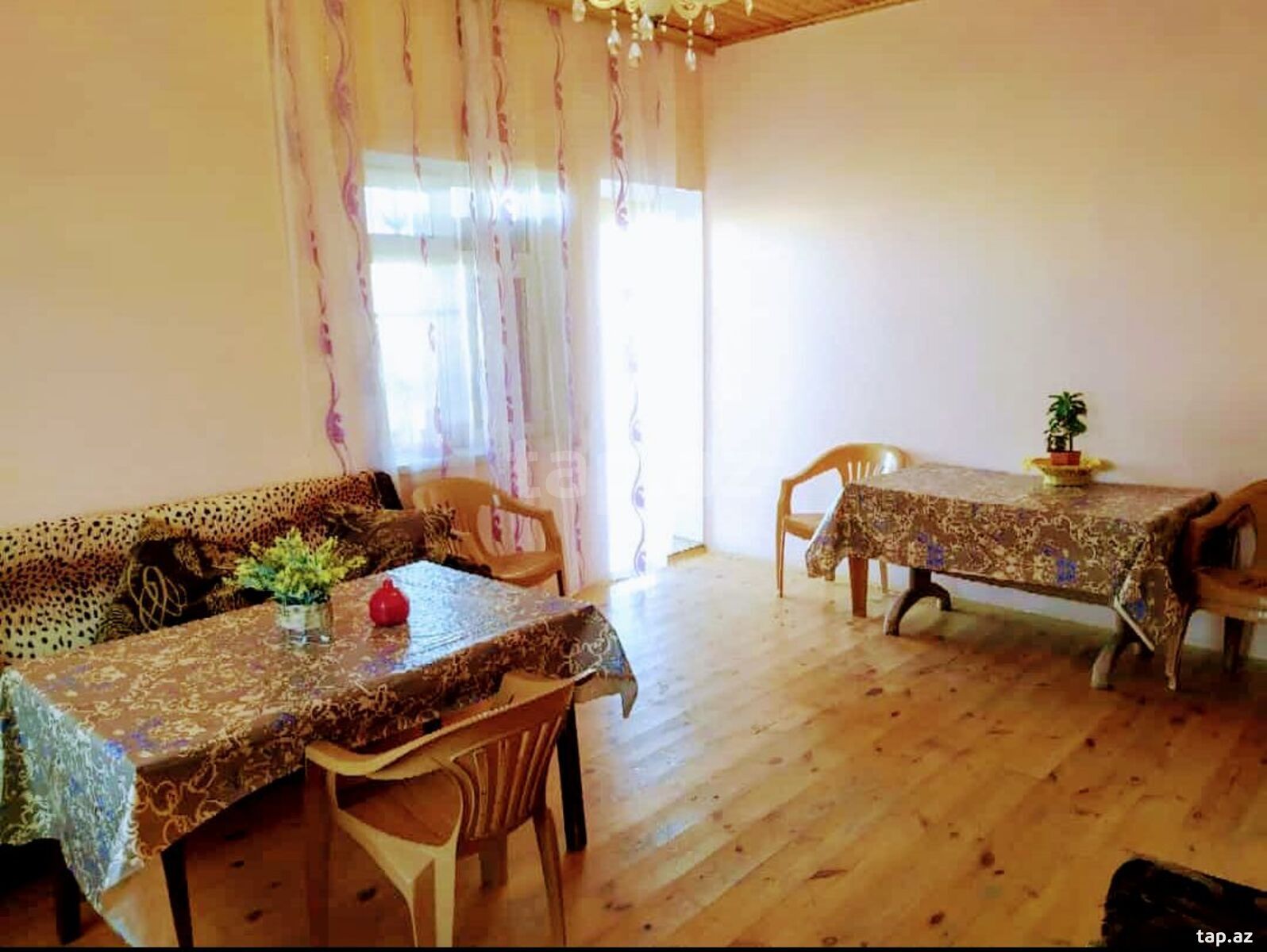 Bağ evi kirayə verilir, Pirşağı qəs. (6)