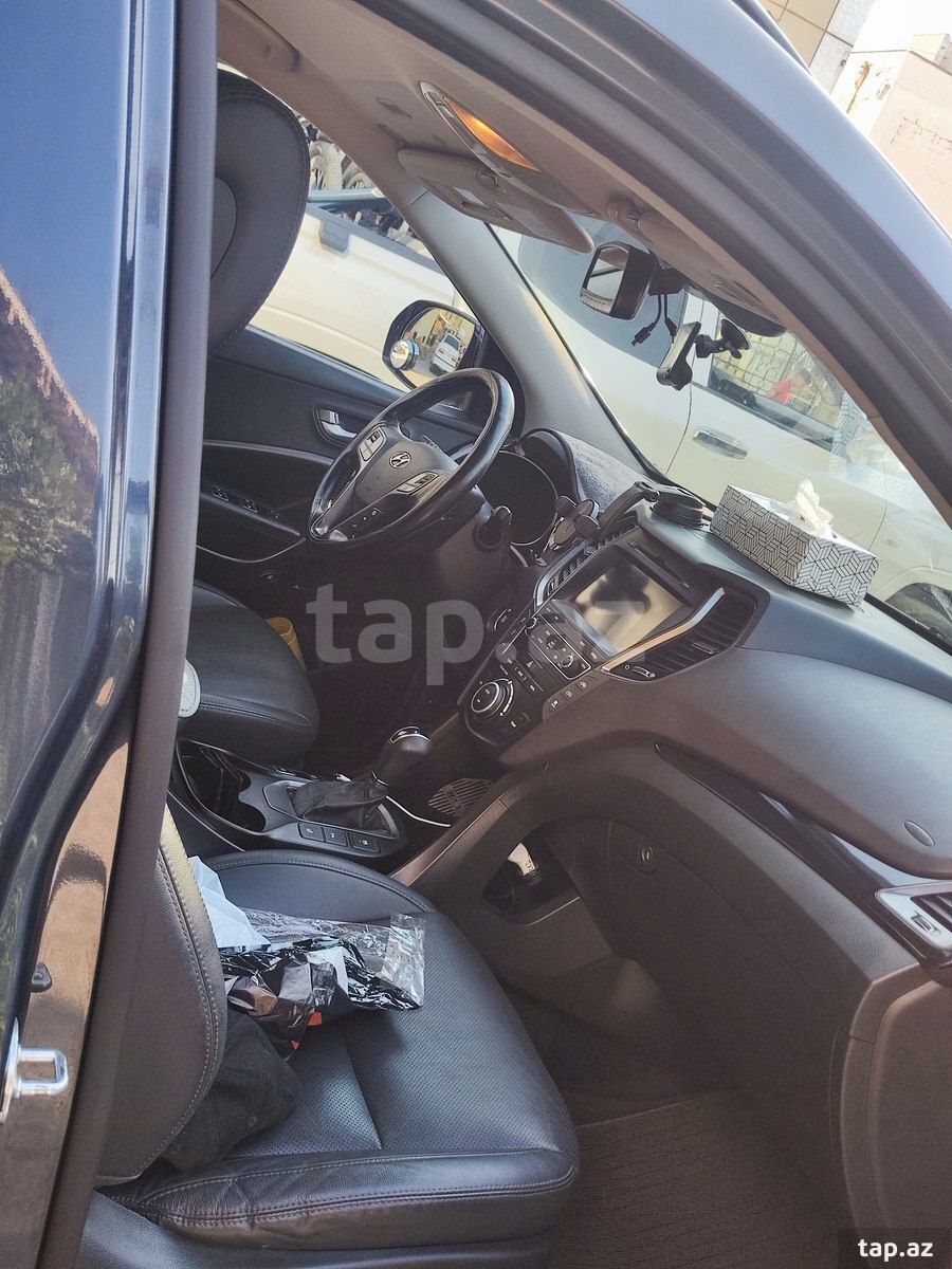 Hyundai Maxcruz, 2015 il (9)