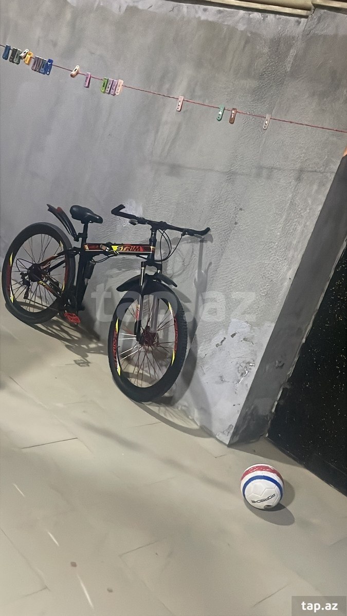 Velosiped 29-luq