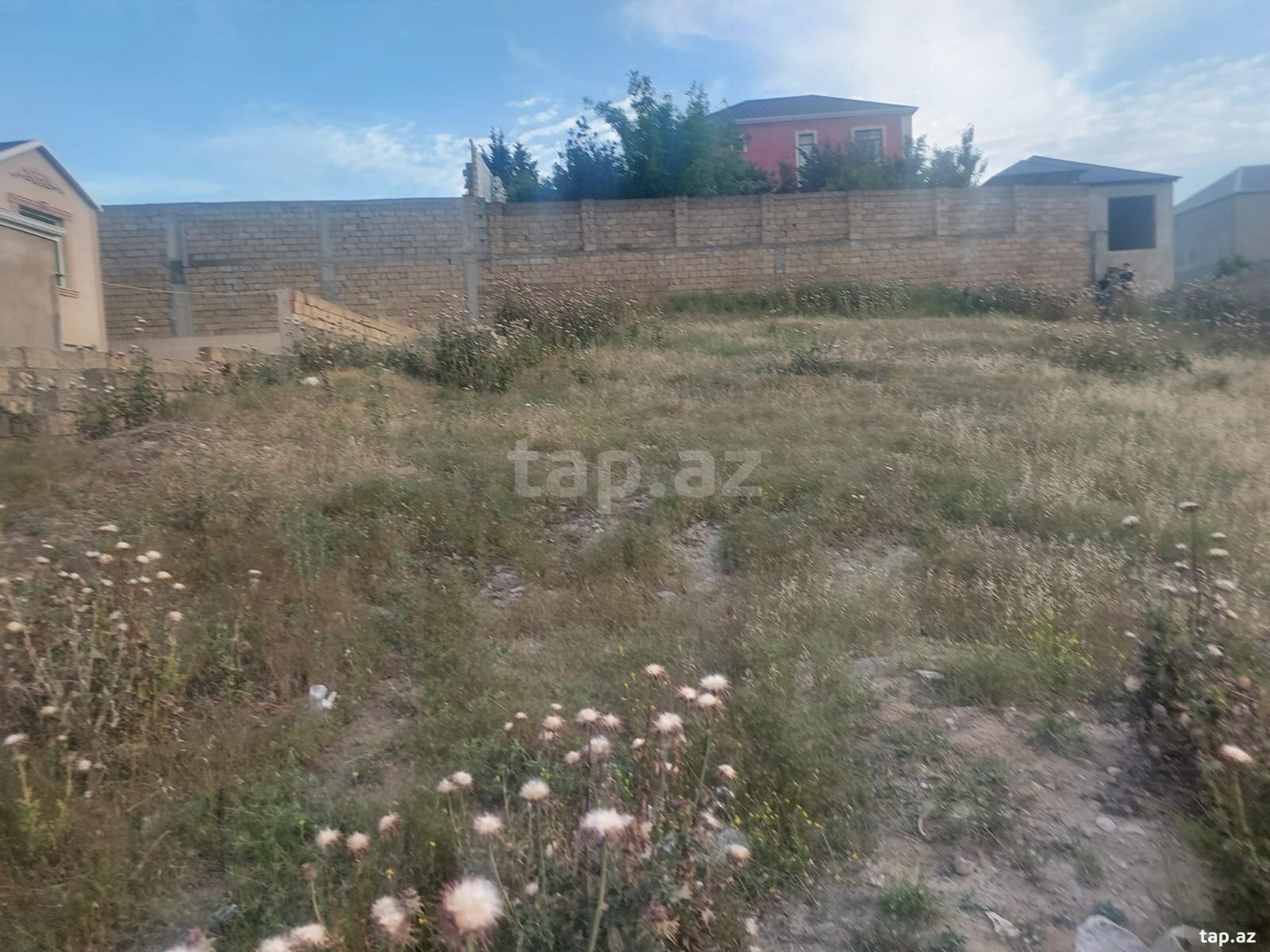6 sot torpaq sahəsi, Masazır qəs. (10)