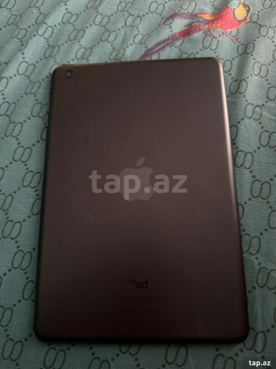 Apple iPad
