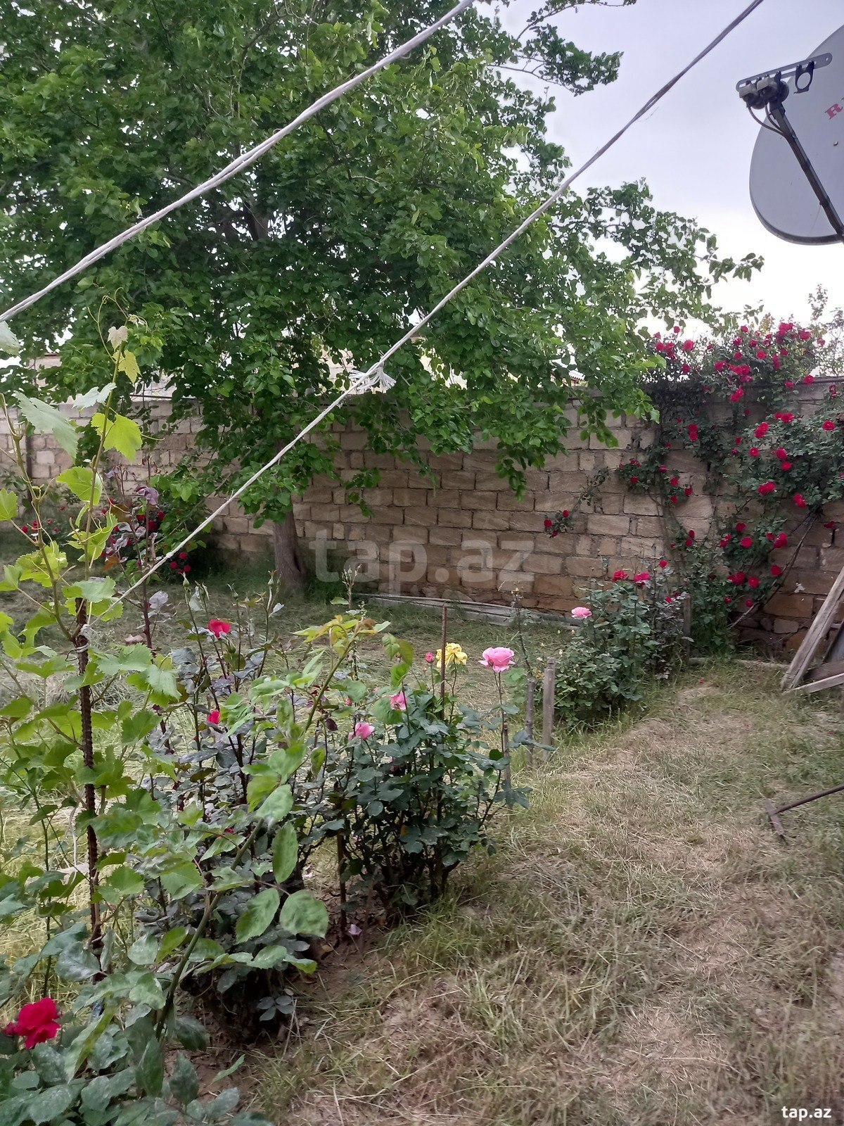 Həyət evi, Siyəzən r.