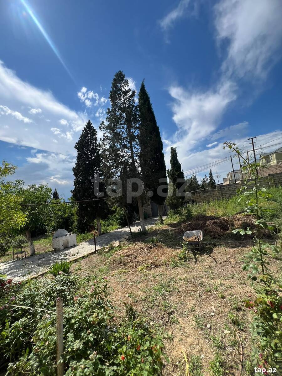3 sot torpaq sahəsi, Saray qəs. (21)