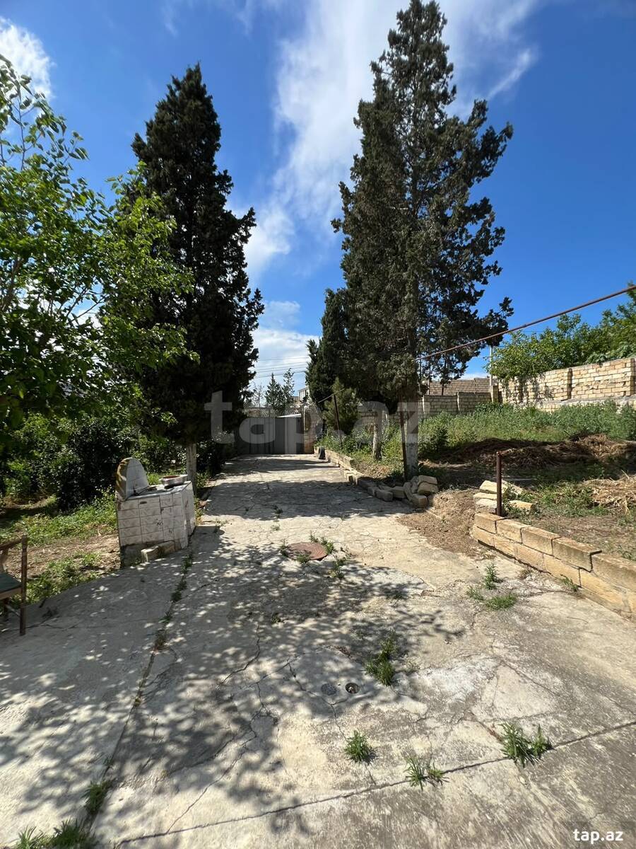 3 sot torpaq sahəsi, Saray qəs. (19)
