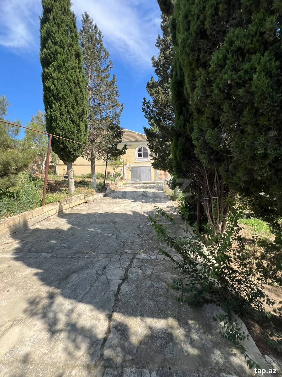3 sot torpaq sahəsi, Saray qəs. (20)