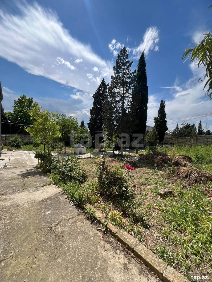 3 sot torpaq sahəsi, Saray qəs. (16)