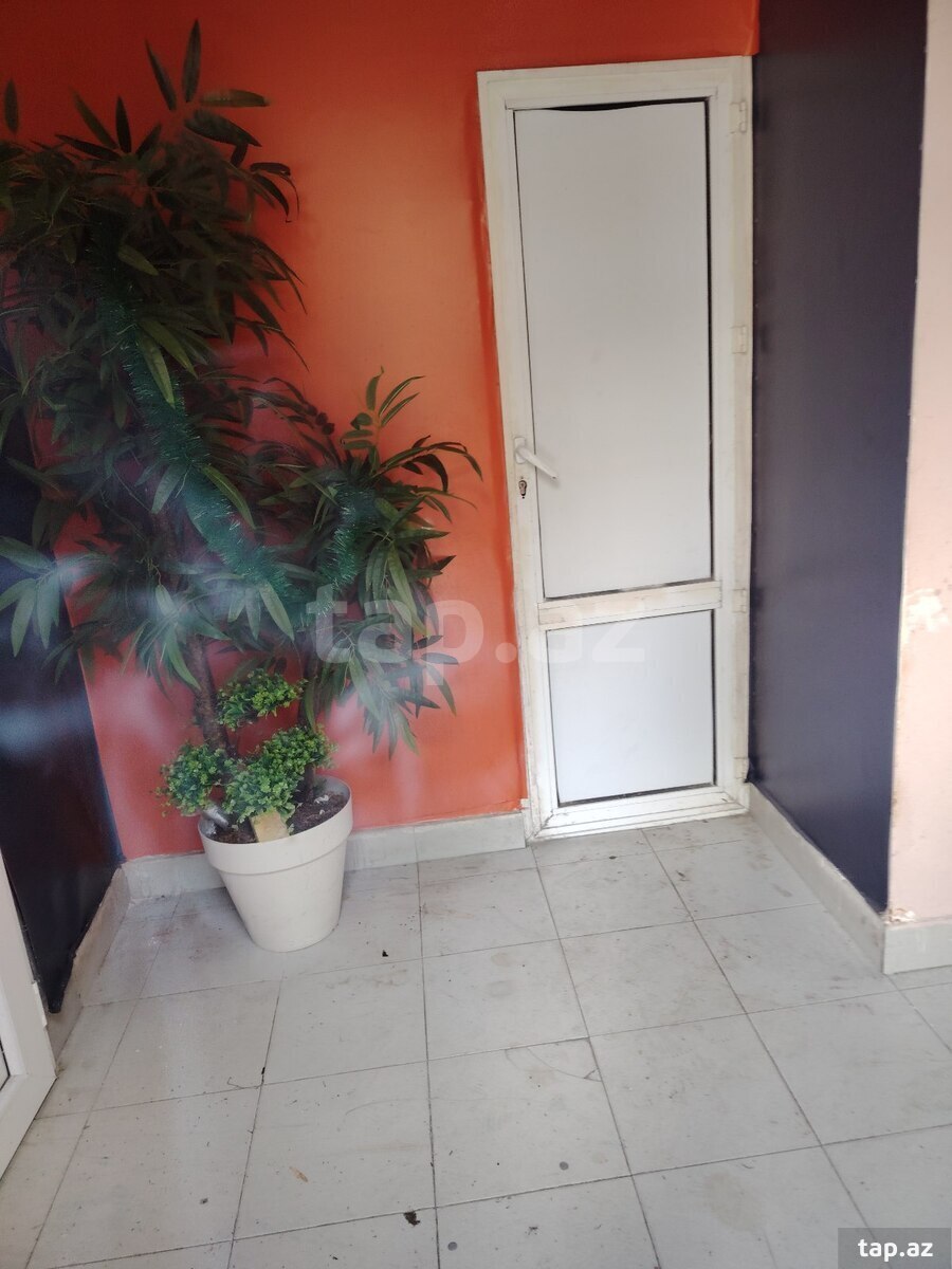 Ofis icarəyə verilir, N.Hacıyev küç. (7)