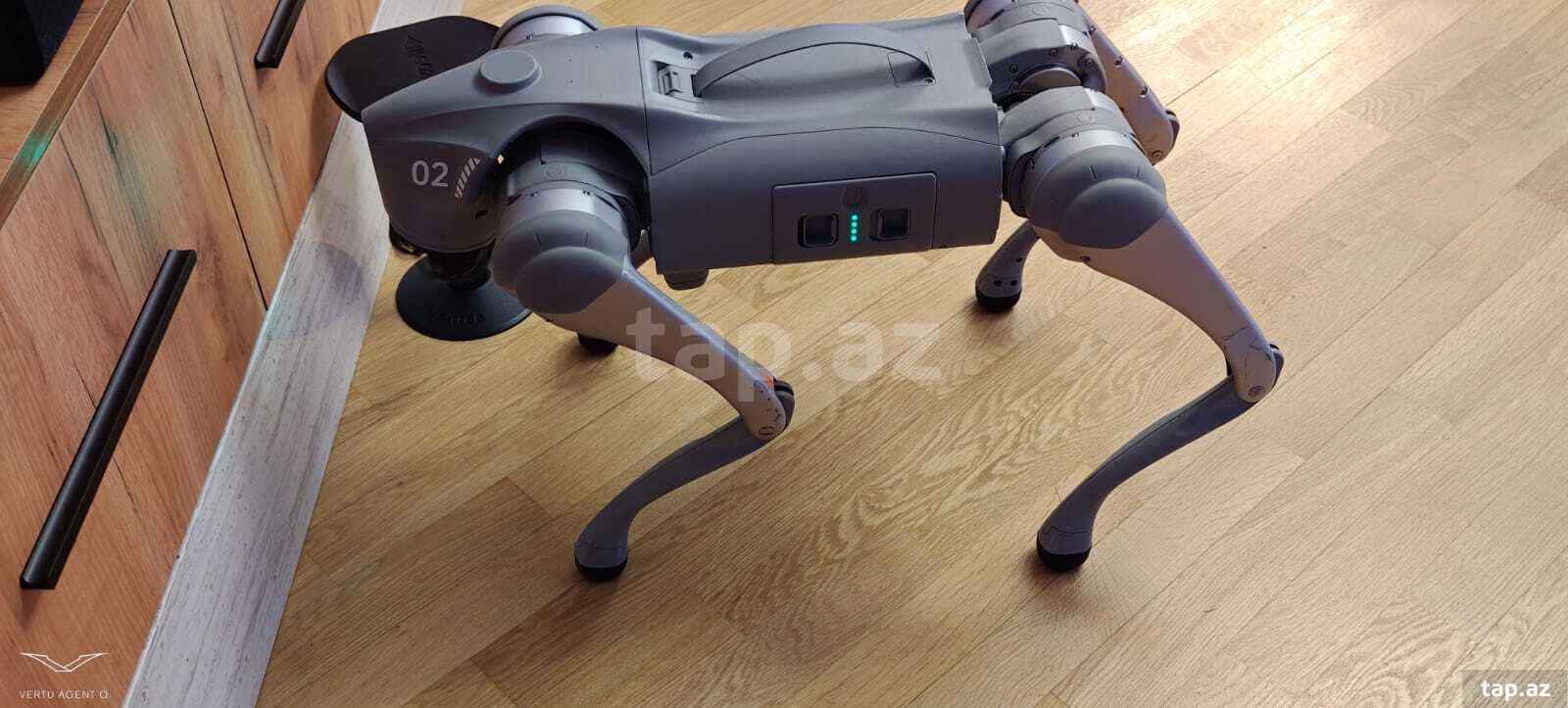 Robot (3)