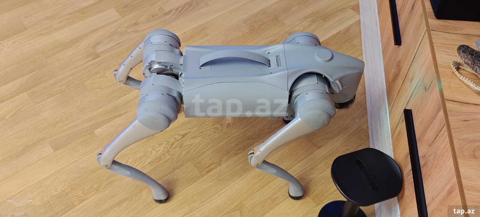 Robot