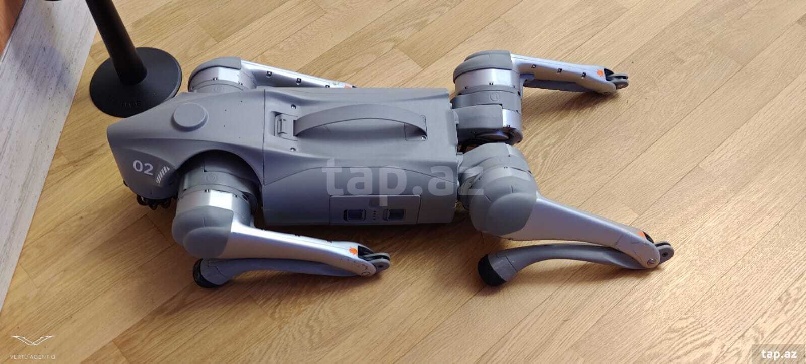 Robot (2)
