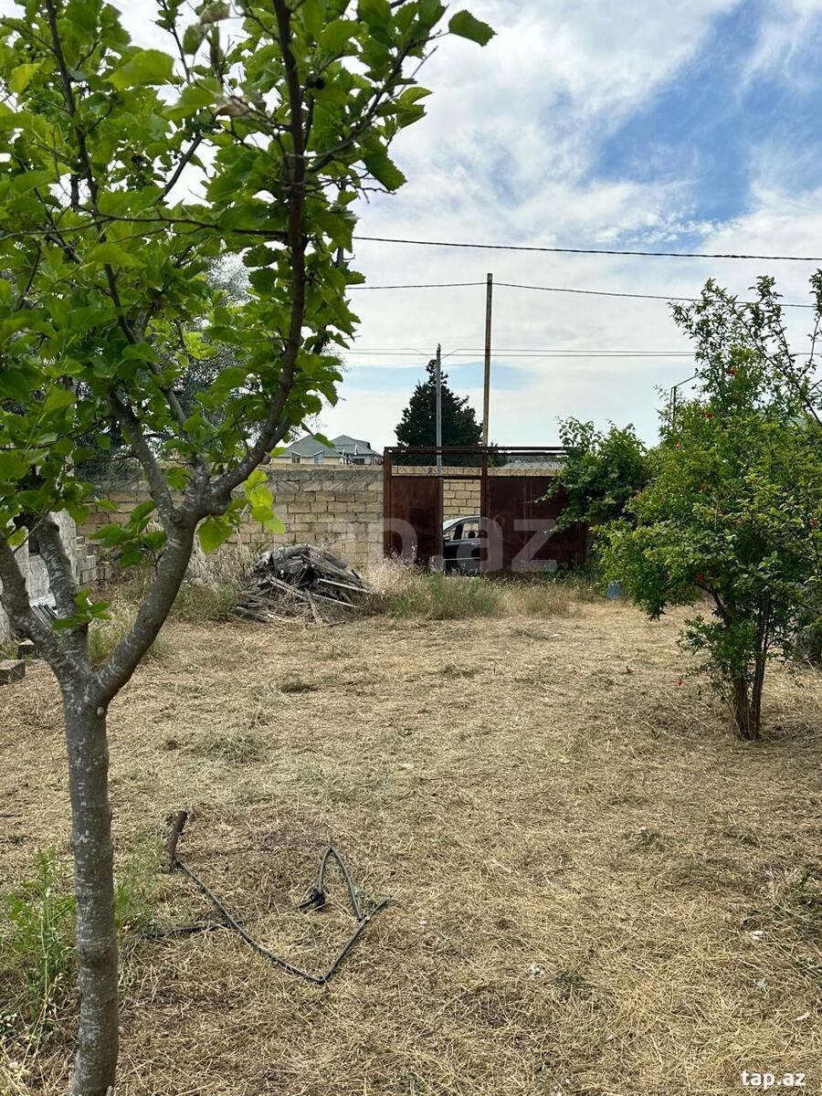 2 sot torpaq sahəsi, Novxanı bağları
