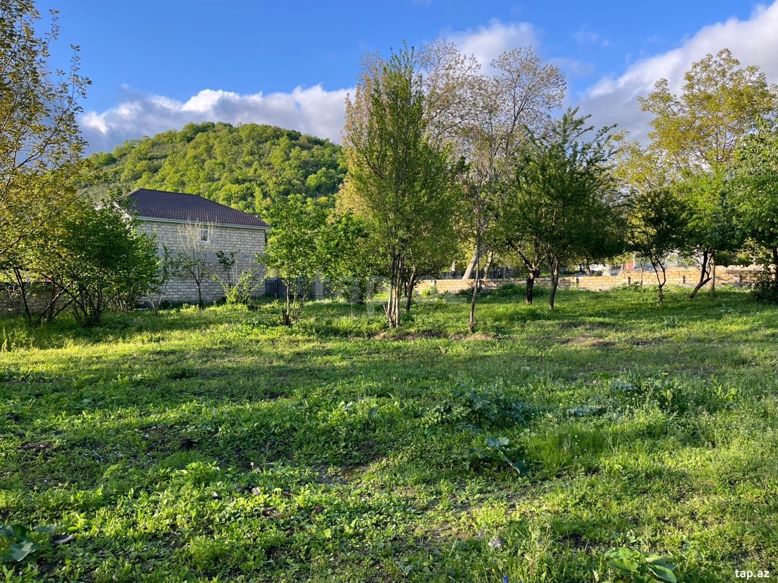 15 sot torpaq sahəsi, Qəbələ r. (2)