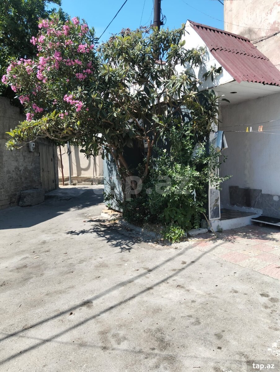 Həyət evi, NZS qəs. (13)