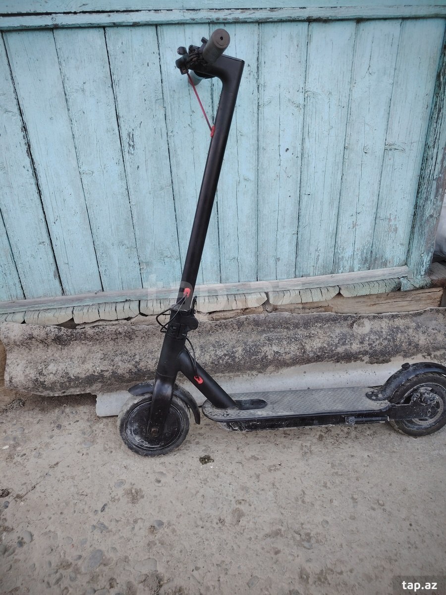 Skuter