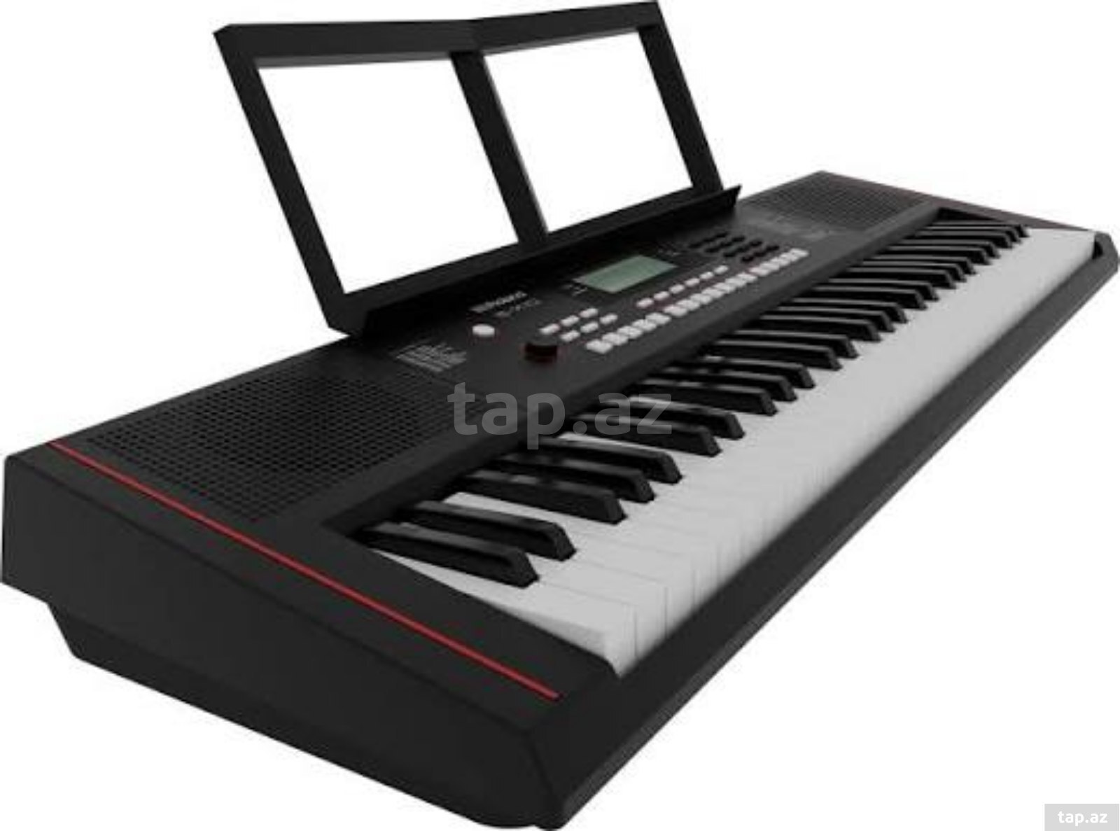 Elektron piano Roland EX-10 (2)