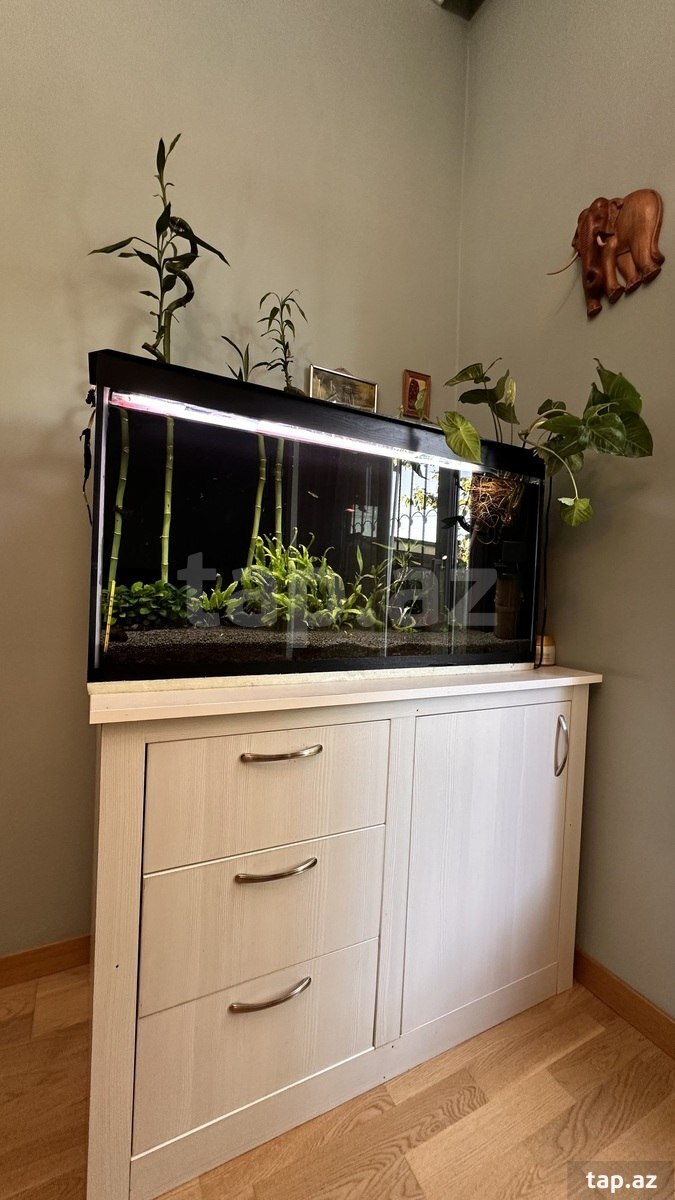 Akvarium 