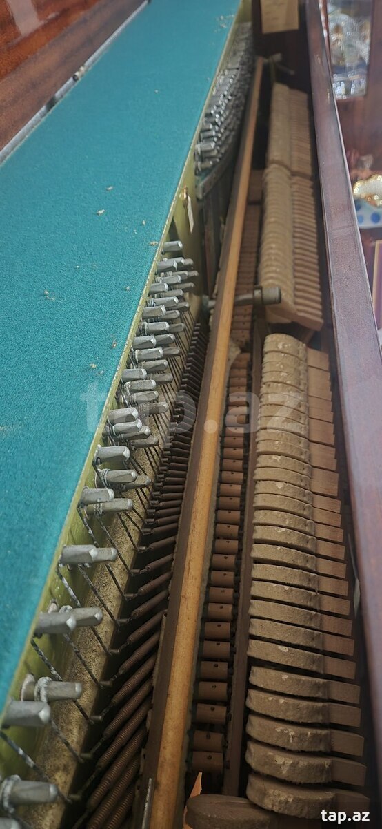 Piano Belarus (7)