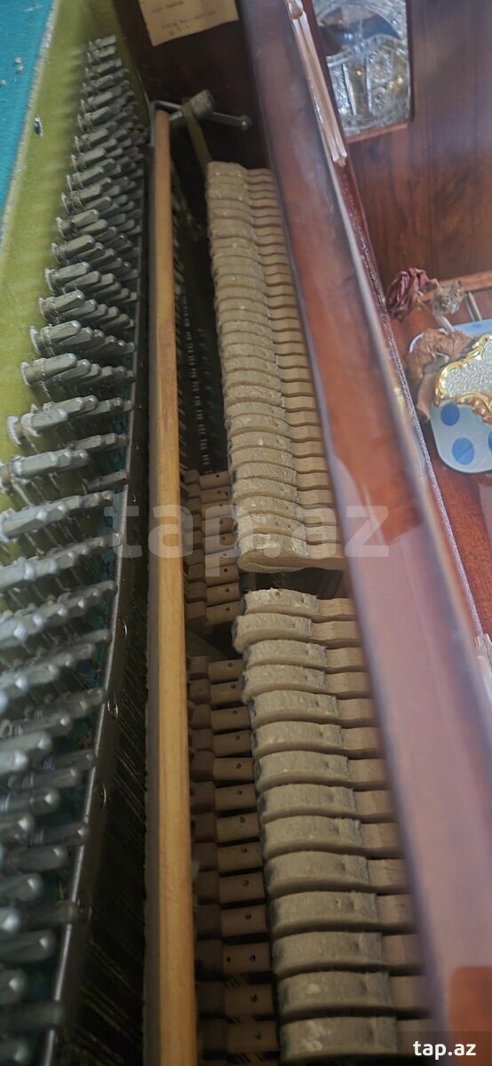 Piano Belarus (8)