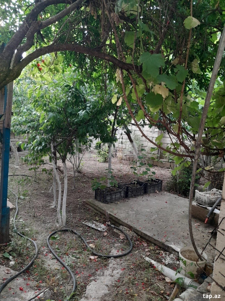 Həyət evi, M. Əsədov küç.
