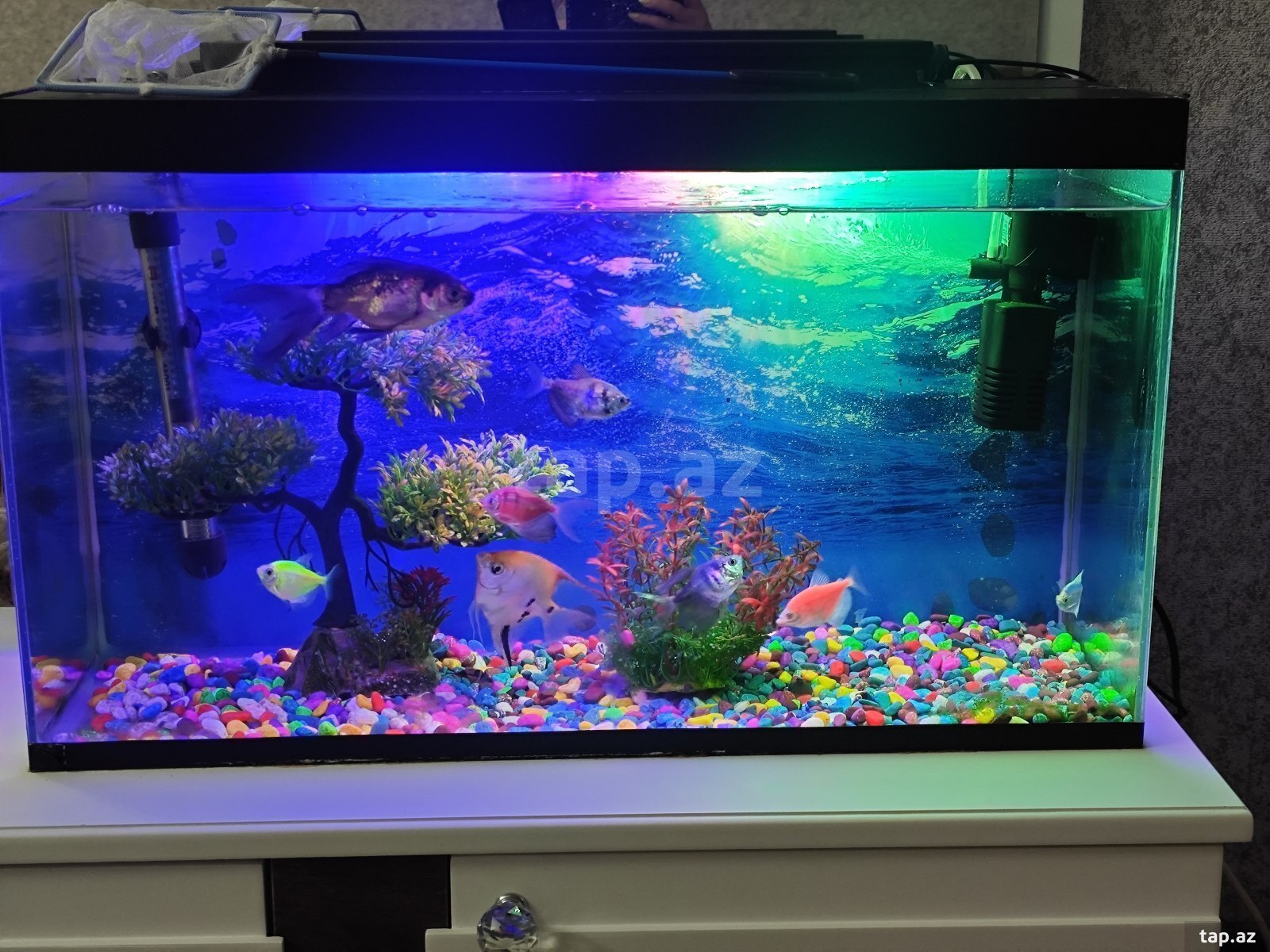 Akvarium
