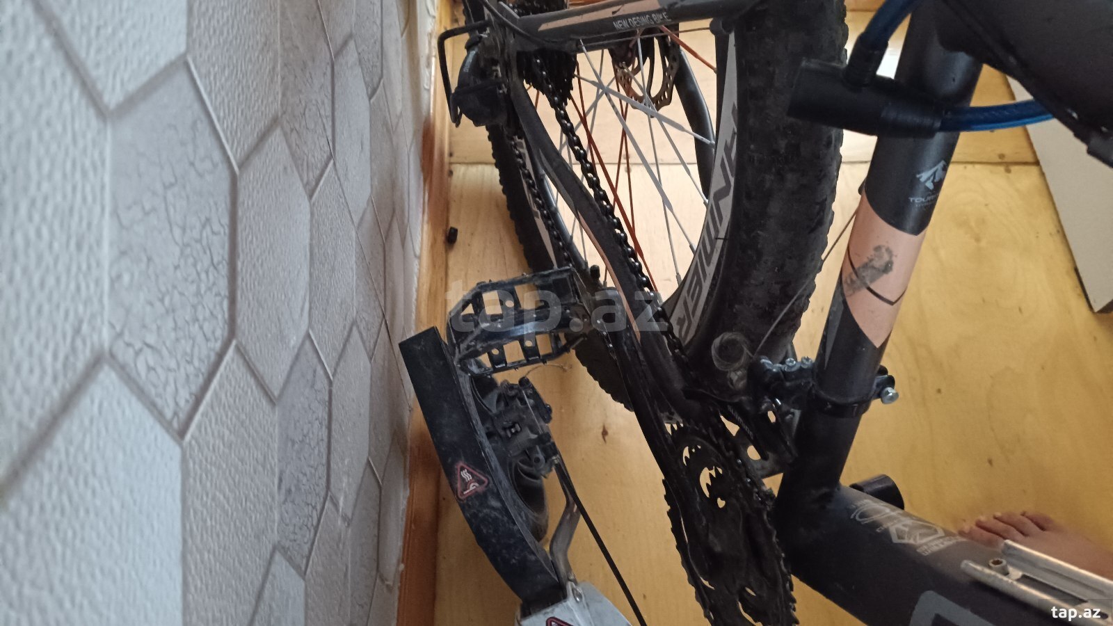 Velosiped (3)