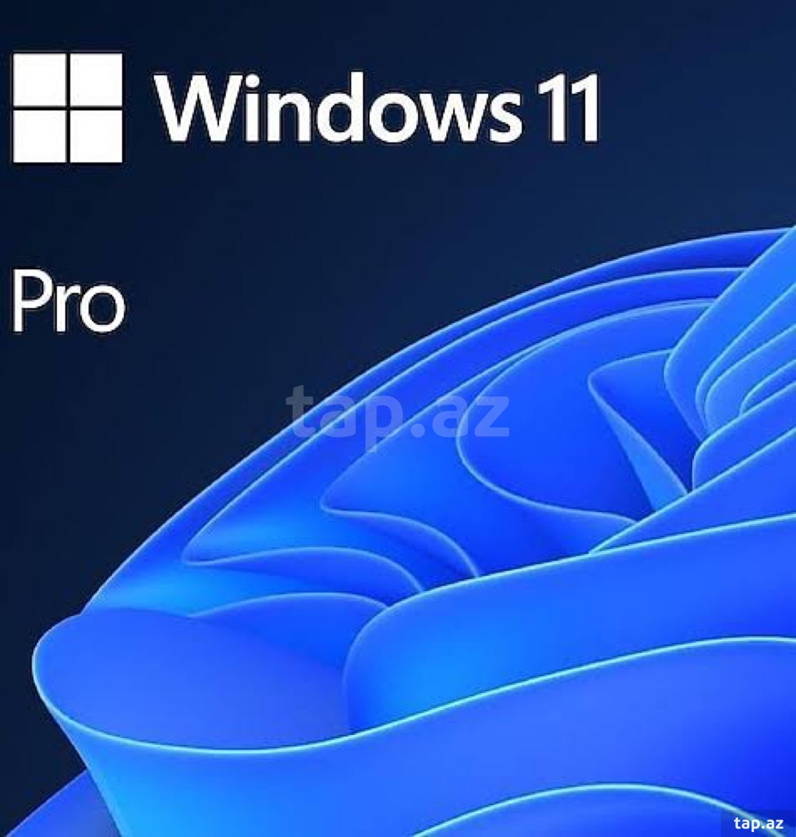 Windows 11 Pro