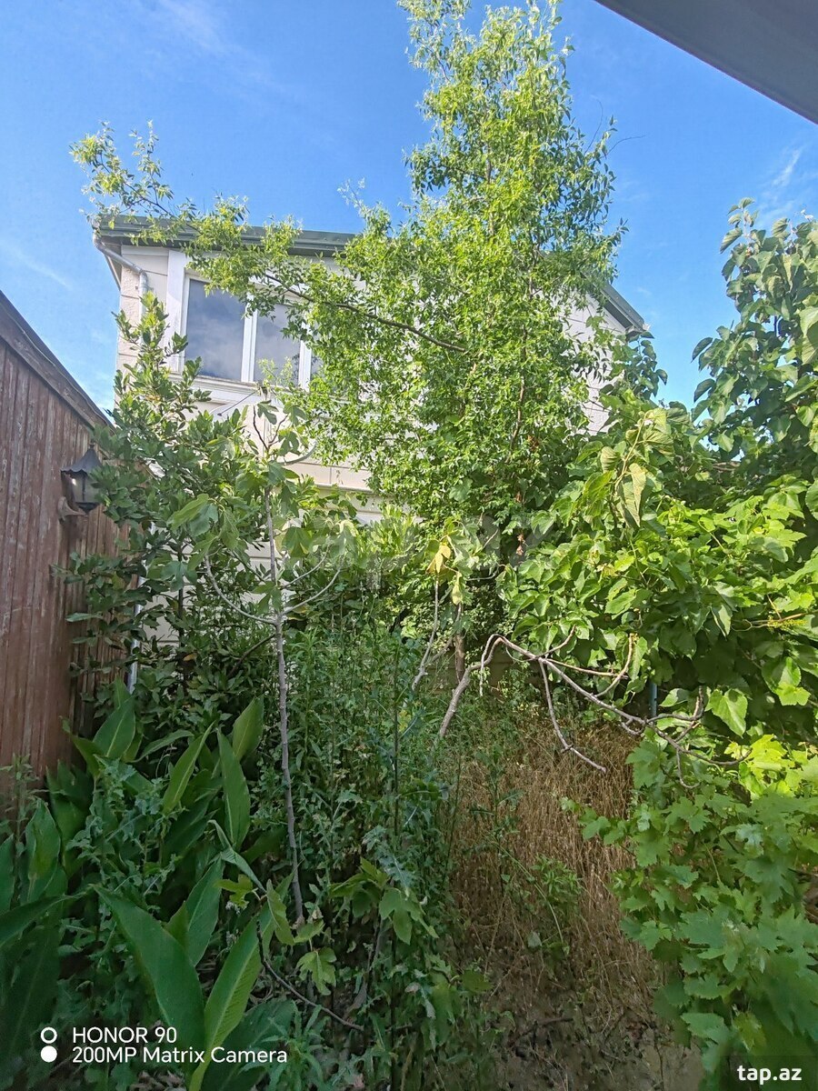 Bağ evi, Türkan qəs. (5)