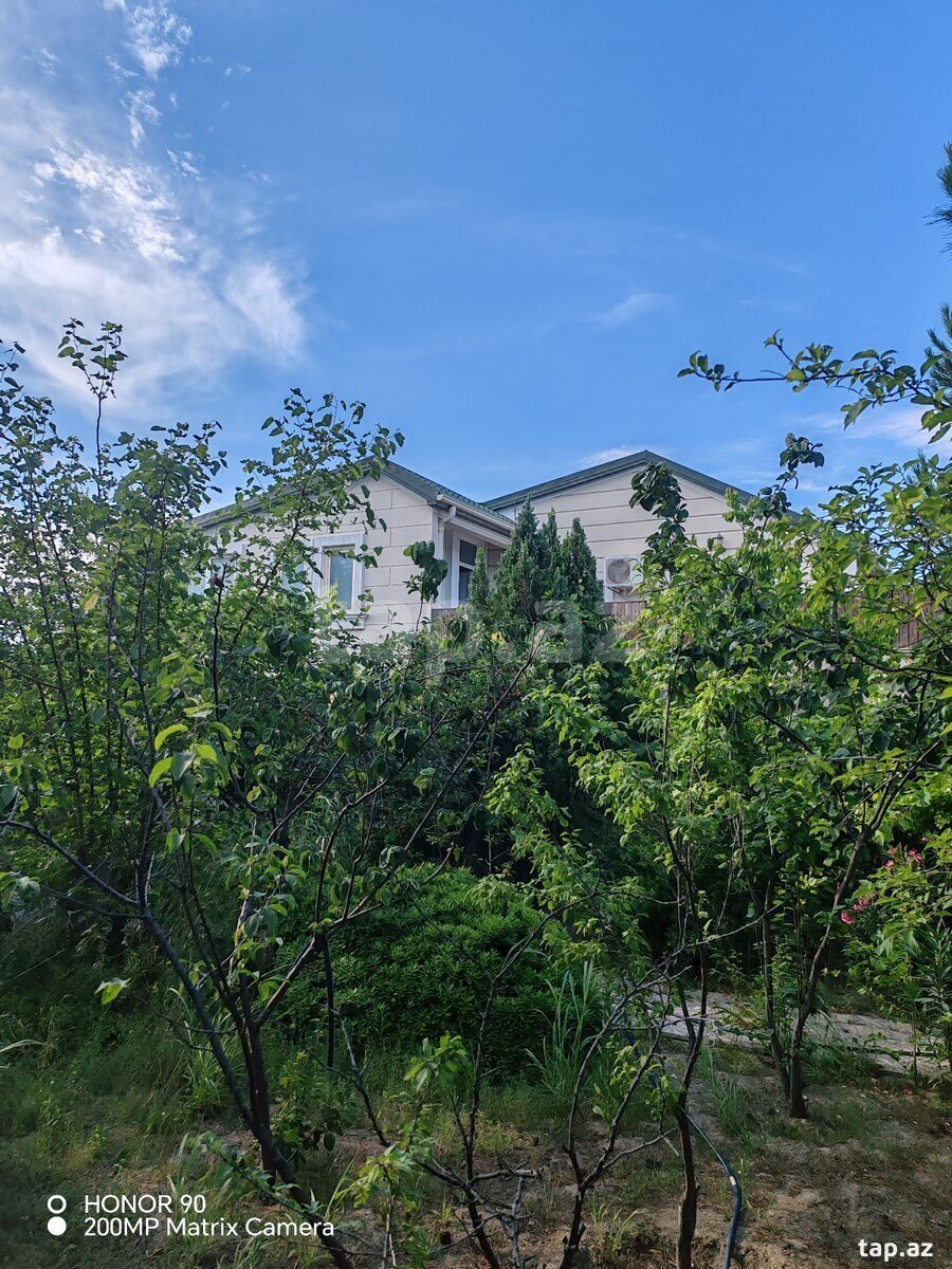 Bağ evi, Türkan qəs. (6)