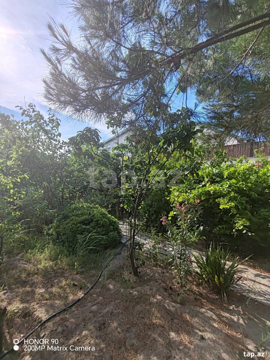Bağ evi, Türkan qəs. (9)